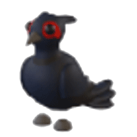 Black Chested Pheasant