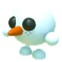 Snowball-Pet