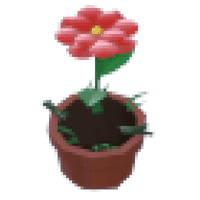 Growing-Flower-Hat