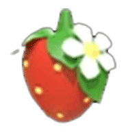 Strawberry-Clip