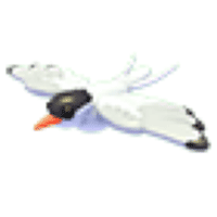 Arctic-Tern
