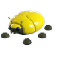 Giant-Gold-Scarab