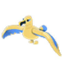 Golden-Albatross