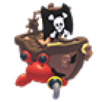 Pirate Hermit Crab