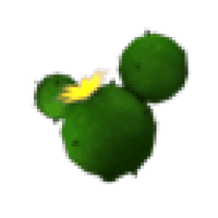 Cactus-Balloon