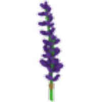 Lavender-Bundle